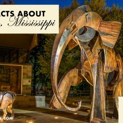 fast facts about Hattiesburg, Mississippi