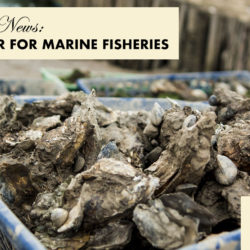 Science Center for Marine Fisheries
